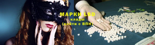 apvp Надым