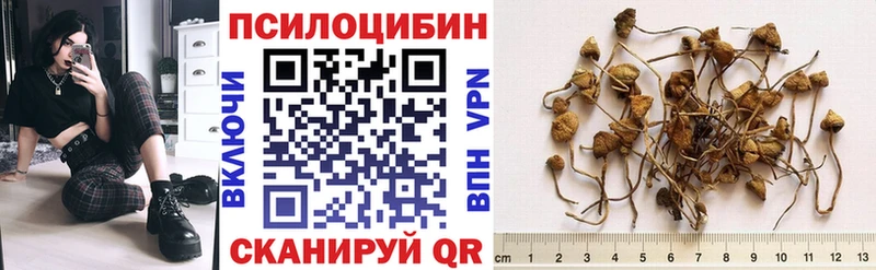 Купить закладки  Красноармейск  Галлюциногенные грибы Psilocybine cubensis 