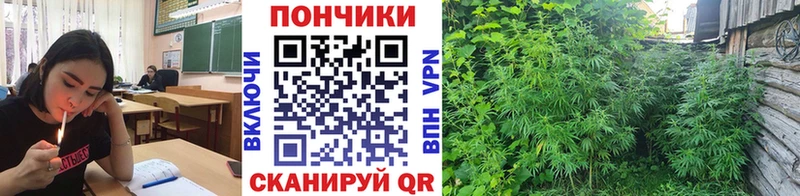 Купить Красноармейск Канабис VHQ
